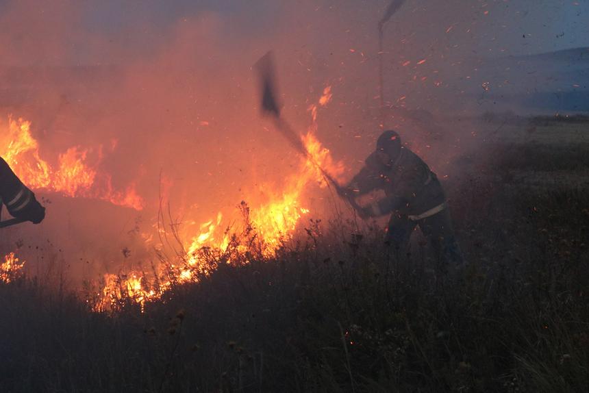 Қарағанды облысында 1500-ден астам адам дала өртін сөндіруге қатысты