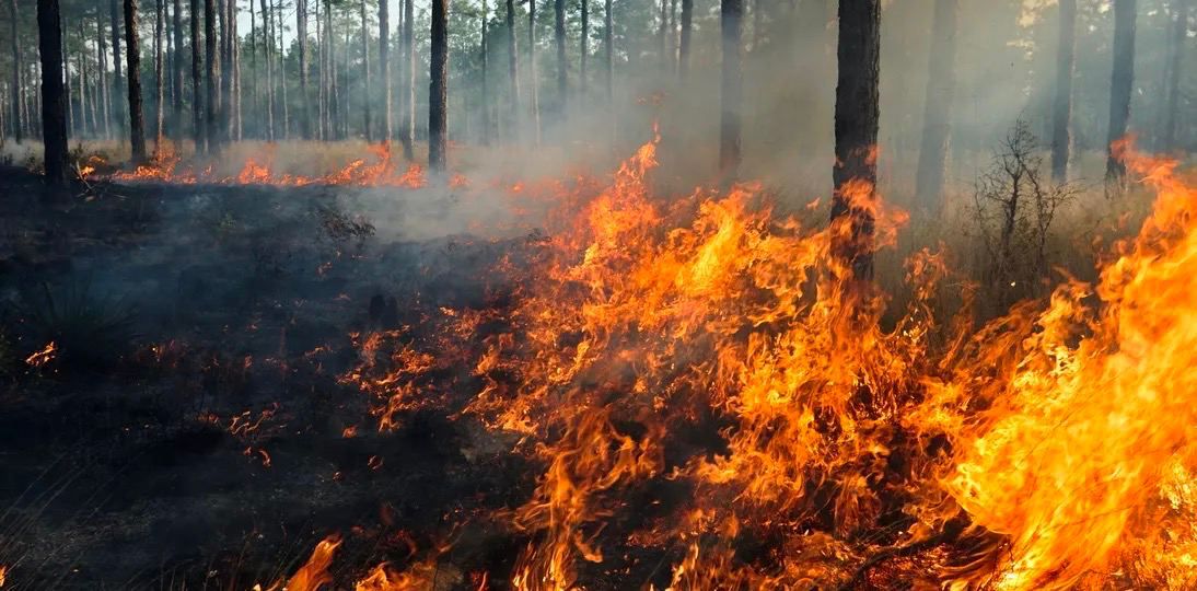 Төтенше жағдай кезіндегі ерлігі үшін бір топ өрт сөндіруші марапатталды