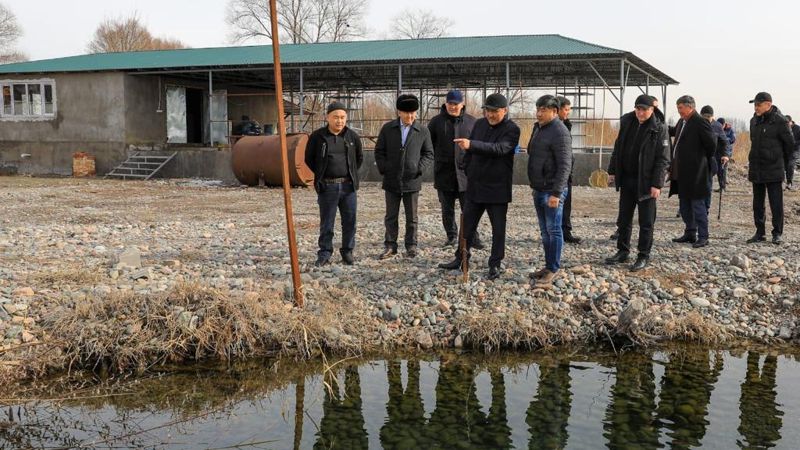 Жамбыл облысында тауарлы балық өндірісін 3000 тоннаға жеткізу көзделіп отыр