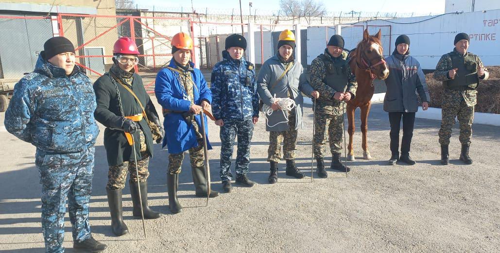 Мекемеде жылқының көмегімен тексеру іс-шаралары қолға алынды