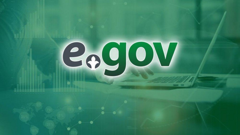 Egov.kz порталы уақытша жұмыс істемейді