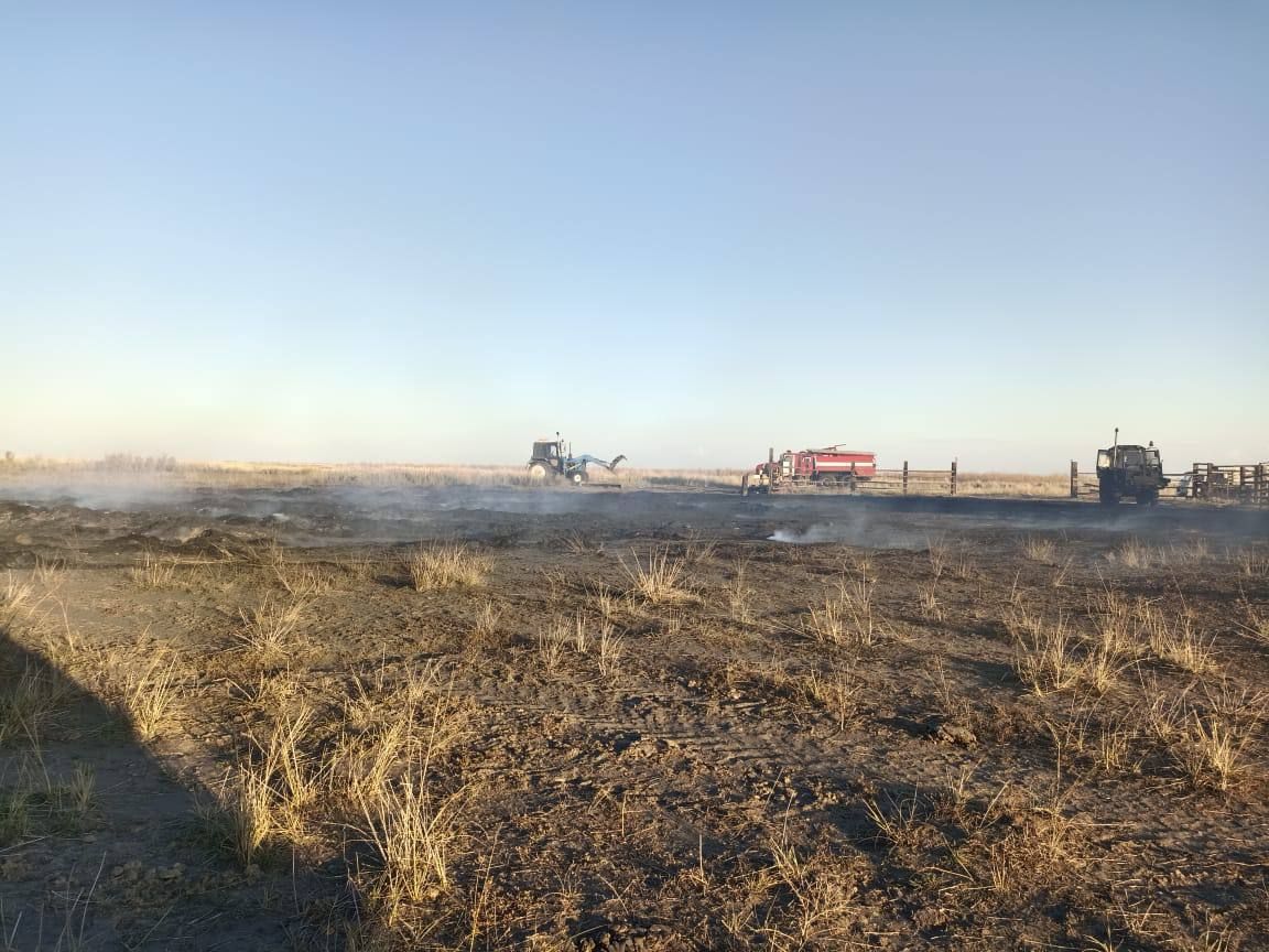 Сіріңкемен ойнаған балалар 82 тонна шөпті өртеп жіберді