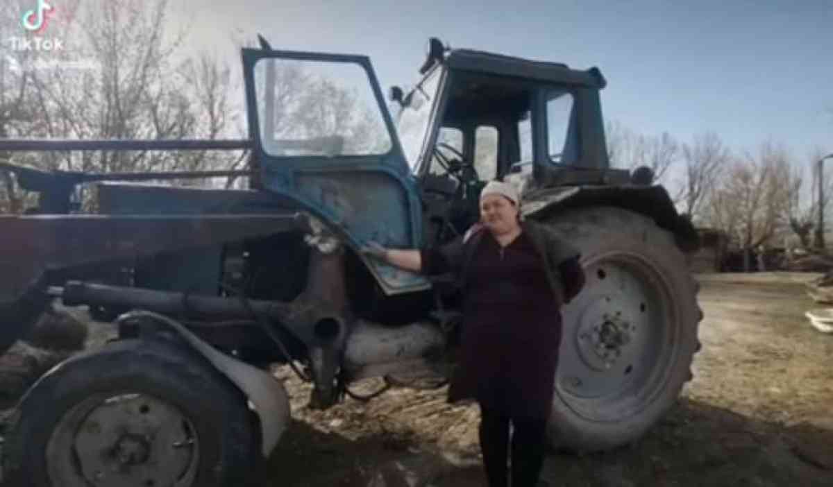 «Шумахер Айка»:Жамбыл облысында көп балалы ана трактор мініп, шөп шауып жүр