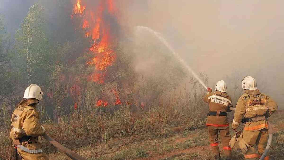 «Өрт көбейді». Жамбылда биыл 21 өрт оқиғасы болды