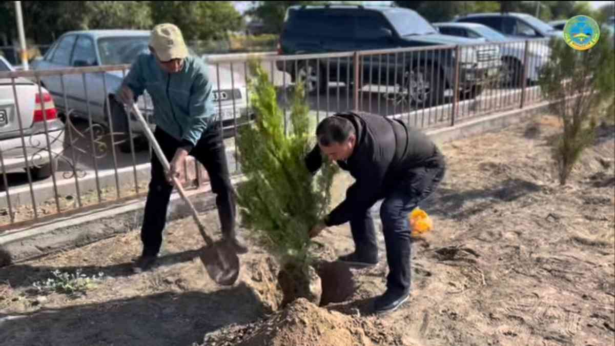 Мойынқұм ауданында күзгі ағаш отырғызу акциясы өз жалғасын табуда