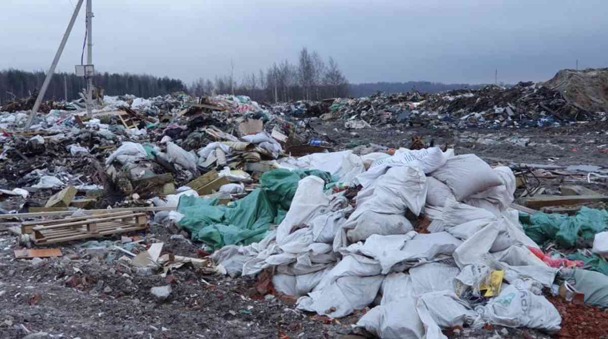 Прокуратура: Жамбыл облысында қалдықтармен жұмыс істеу саласындағы экологиялық бұзушылықтар анықталды