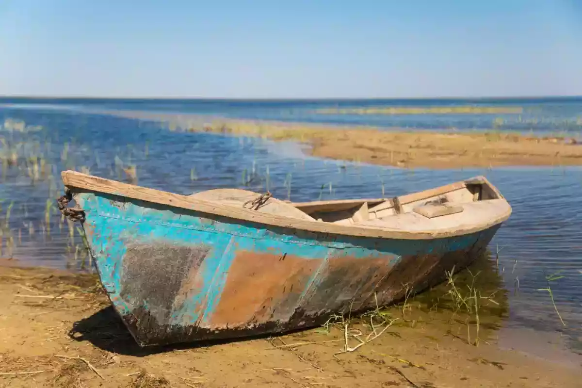 2025 жылдың сәуіріне дейін Арал теңізіне тағы 1,6 млрд текше метр су жіберіледі