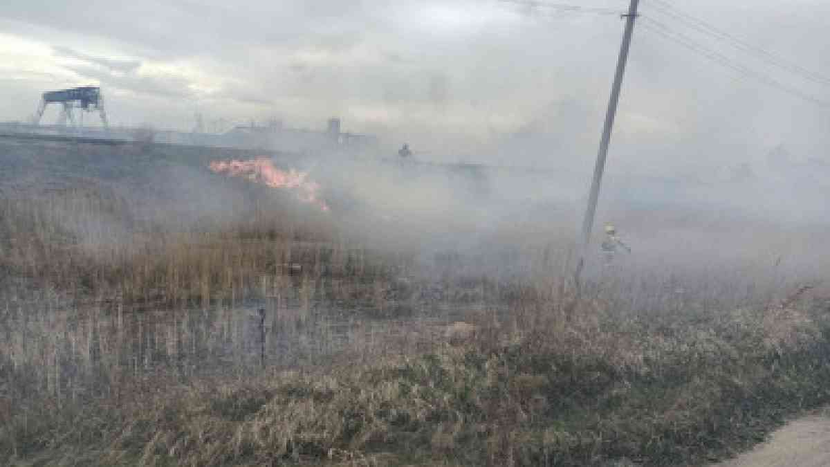 Ақмолада 40 гектар жердегі құрғақ шөп өртеніп кетті