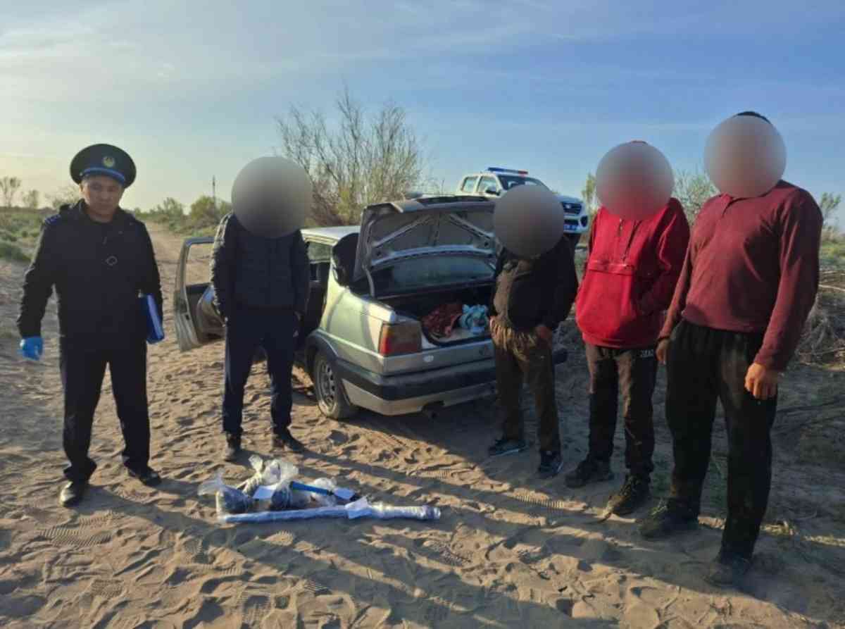 Алматы облысында мал ұрлығымен айналысқан қылмыстық топ ұсталды
