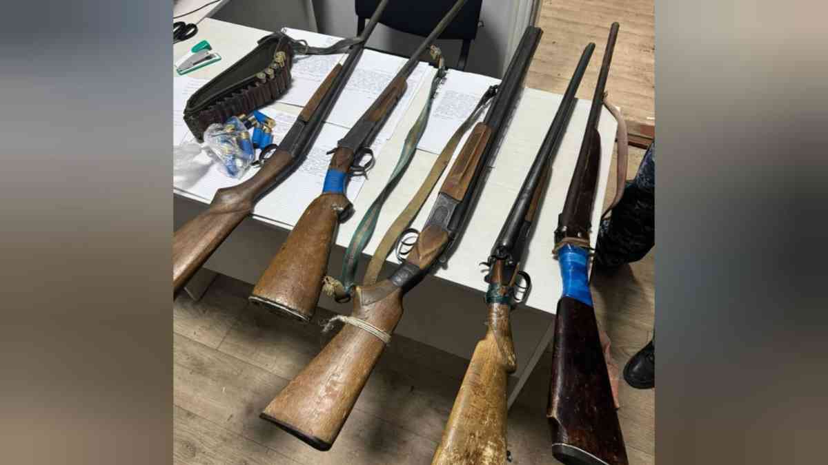 Жамбылдықтар 91 қару-жарақты өз еркімен тапсырды