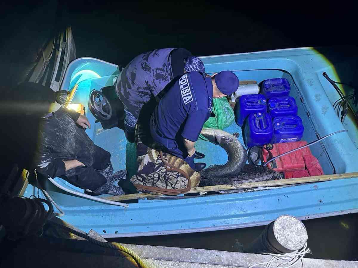 Мойынқұмда 45 келі балық ұстаған азамат ұсталды