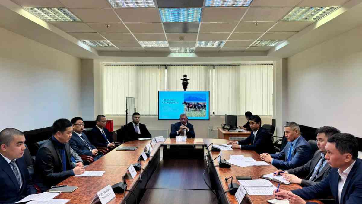 Қытай компаниялары қазақ жылқыларына көз тігіп отыр