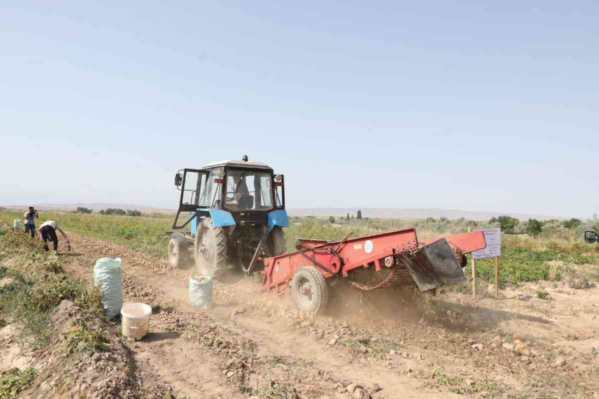 Қазақстан 2028 жылға дейін негізгі азық-түлік өнімдерімен өзін-өзі толық қамтамасыз етеді