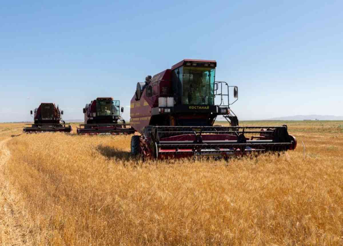 Жамбыл облысында 3,8 млн тонна ауыл шаруашылығы өнімін жинау жоспарлануда