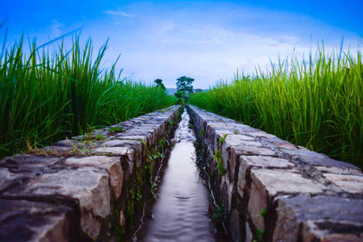 Министрлік: оңтүстіктегі егістікке 9,9 млрд текше метр су берілді