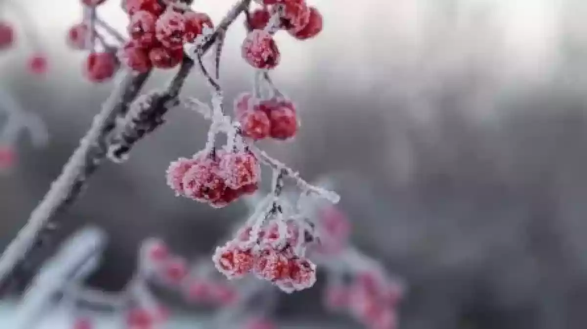 Ауа райы құбылады: тұман, қар және үсік күтіледі