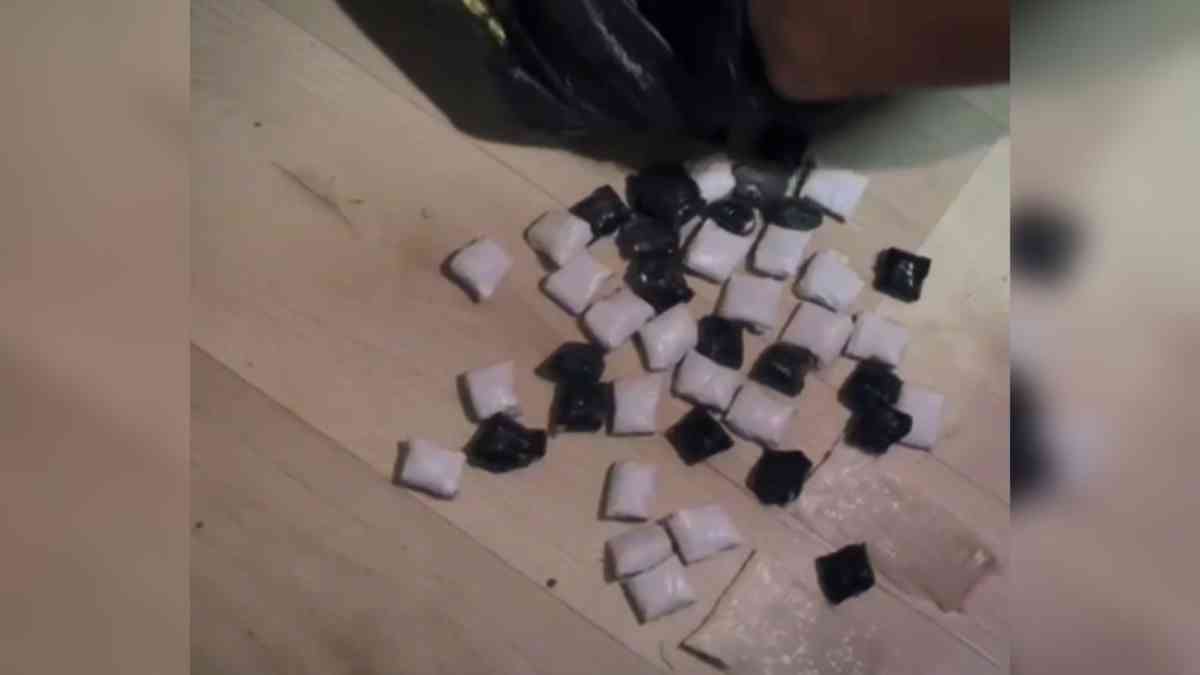 Шымкентте есірткі жеткізу арнасы жойылды