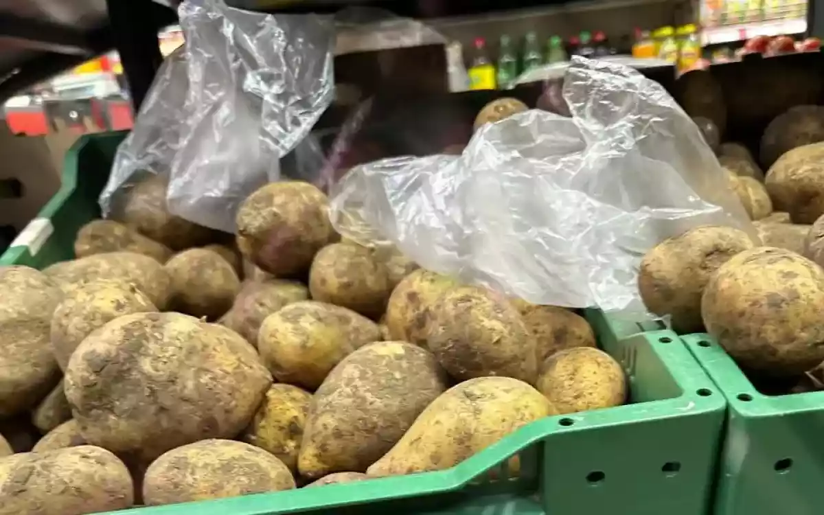 Үкімет: Көктемде картоп бағасы 185 теңгеден аспайды