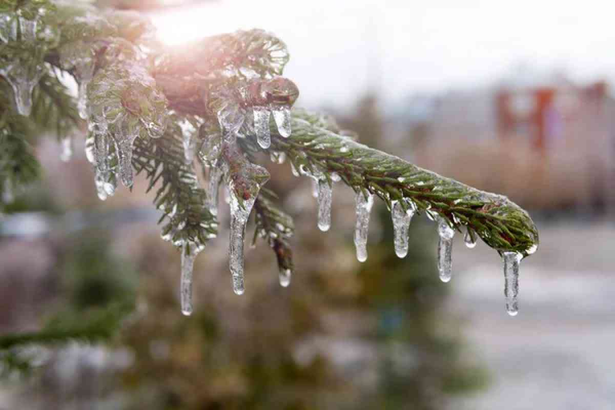 Алдағы күндері үсік жүріп, жауын-шашын болады