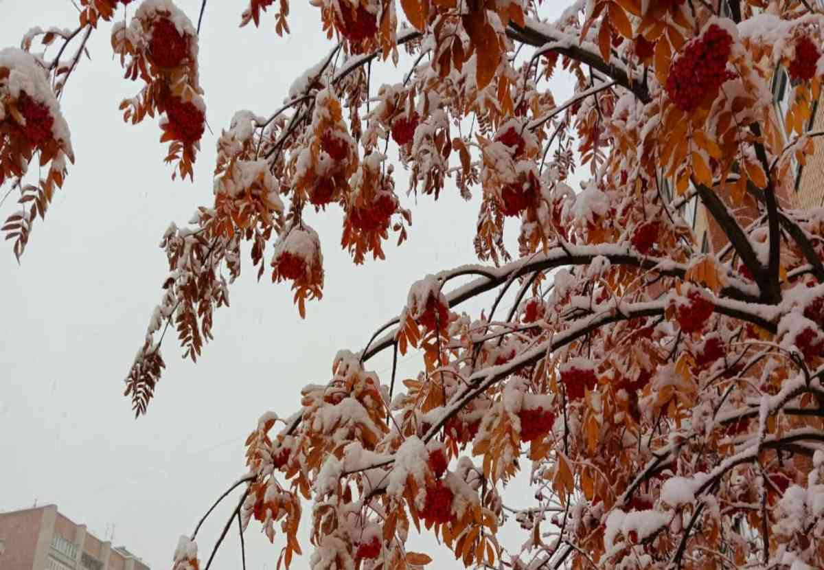 Қазақстанда күн күрт салқындап, қар жауады