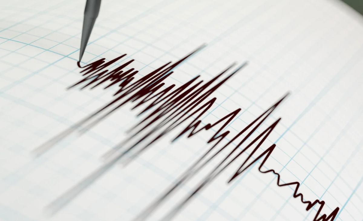 ТЖМ жер сілкінісіне қатысты ресми мәлімдеме жасады