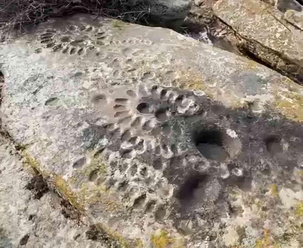 Жамбыл облысында 6-7 ғасырға тән тоғызқұмалақ ойын тасы табылды