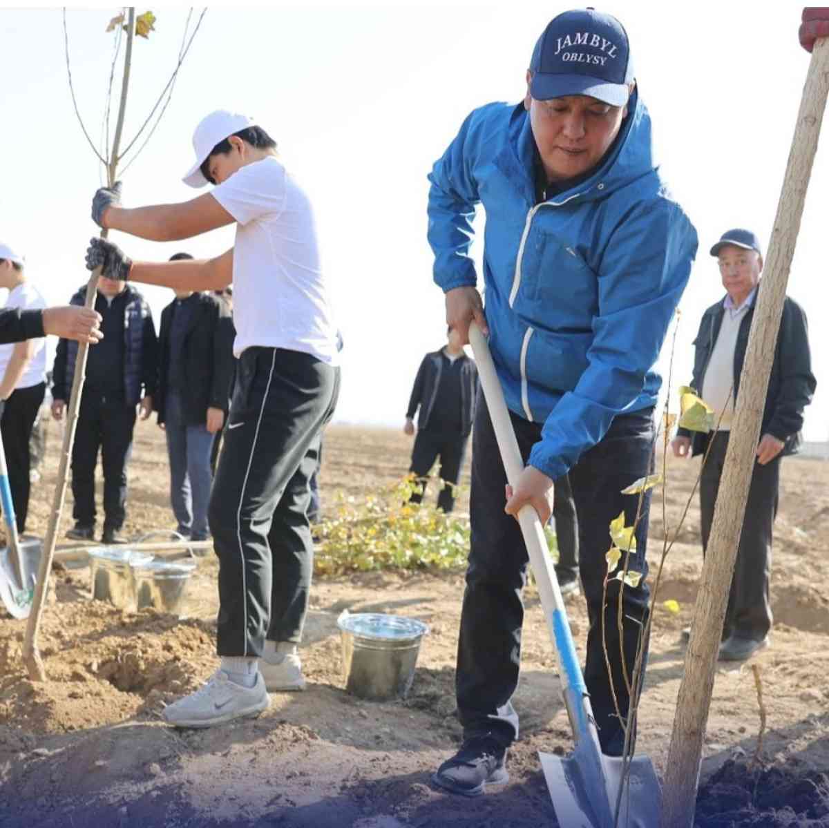 «Таза Қазақстан»: Таразда 10 мың түп ағаш отырғызылды
