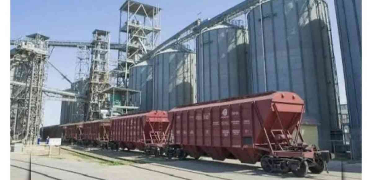 Қазақстан Түркияға астық пен сиыр еті экспортын ұлғайтуға дайын