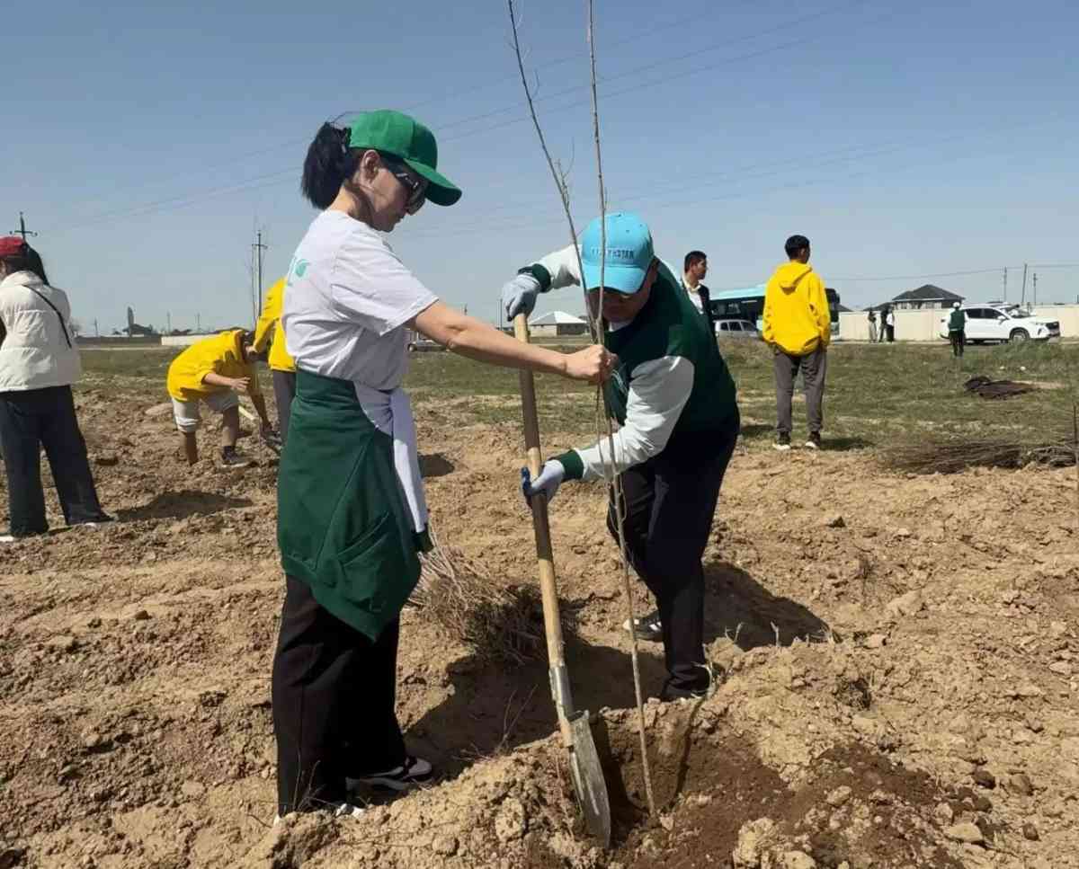 Ауылдағы қоғамдық моншаның ішін қараңыз Ауылдағы қоғамдық моншаның ішін қараңыз
