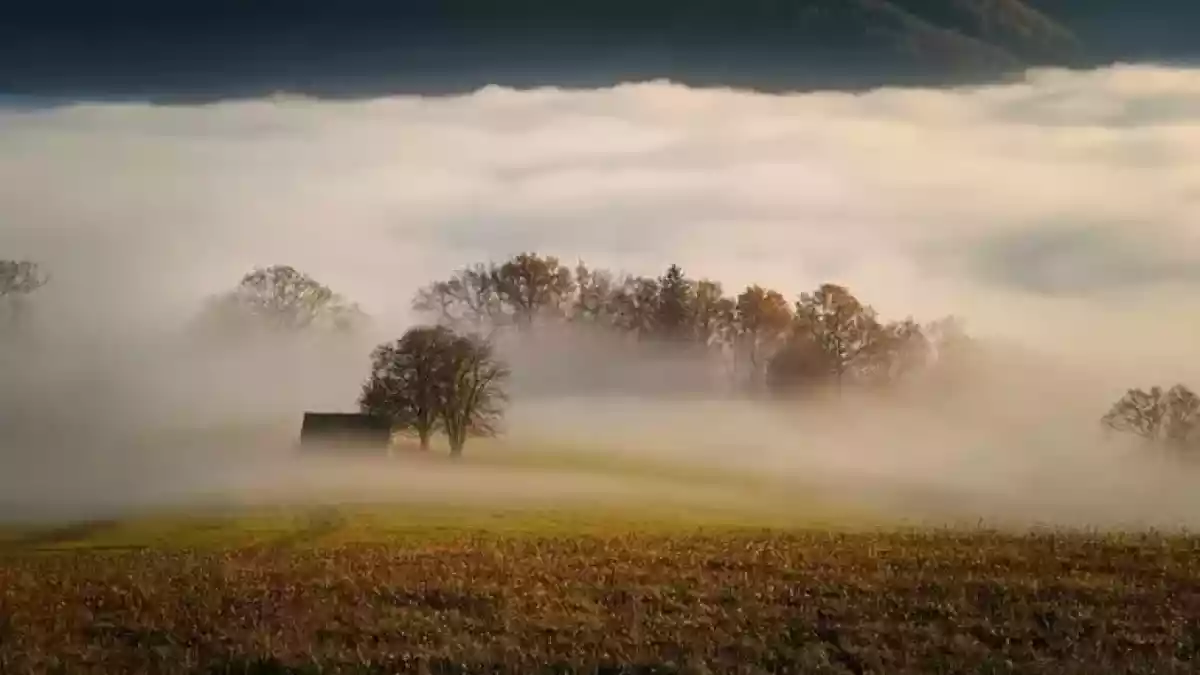 «Найзағай және өрт қаупі»: Сейсенбіде еліміздің басым бөлігінде дауылды ескерту жарияланды