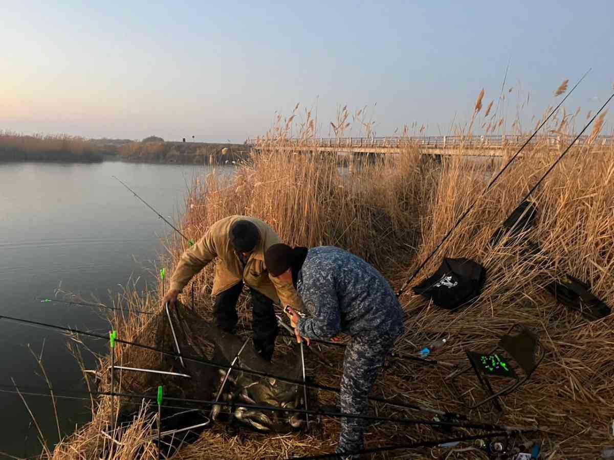 Жамбыл облысында "Браконьер" акциясы кезінде 200-ден астам құқық бұзушылық анықталды
