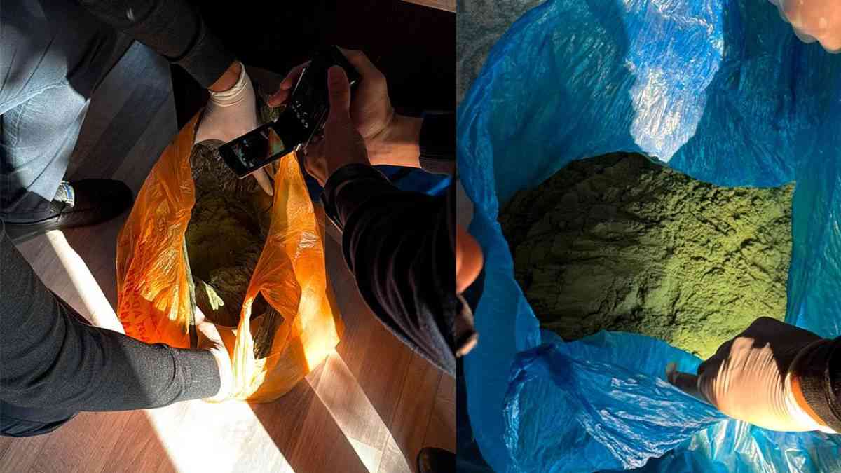 Есірткіге қарсы күрес: 15 күдікті қамауға алынды