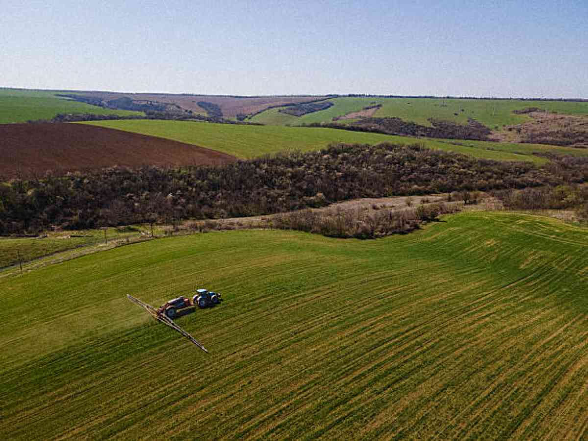 Семейде мемлекет жерін заңсыз пайдаланғандар жауапқа тартылды
