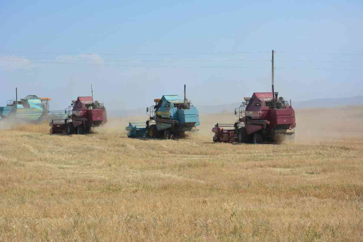 Өңірде ауыл шаруашылығының жалпы өнімінің көлемі 3,1 пайызға өсті