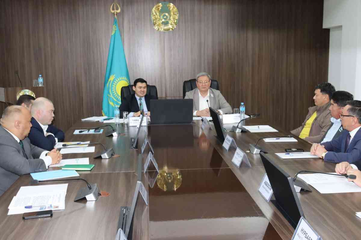 Жамбылда кәсіпкерлік мәселелері жөніндегі өңірлік үйлестіру кеңесінің алғашқы отырысы өтті