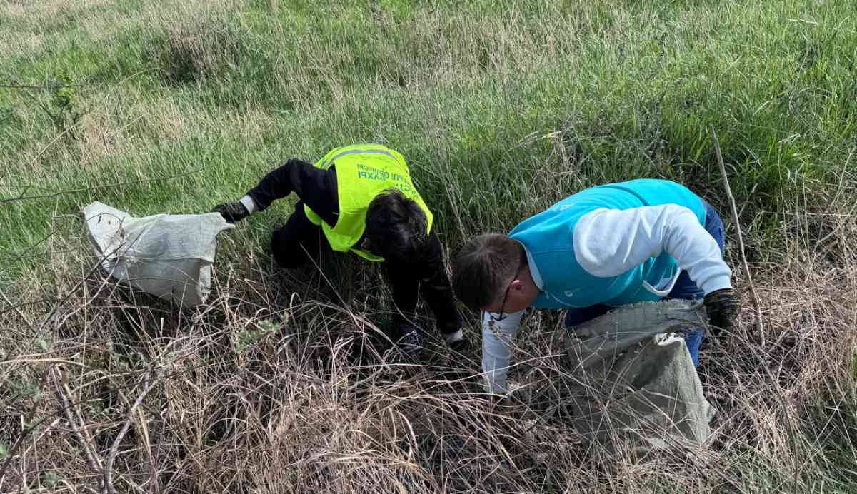 «Таза Қазақстан»: Экологиялық акцияға 127 мың жамбылдық қатысты