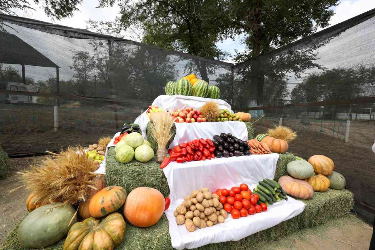 Қазақстанда ауыл шаруашылығы өнімдерінің жалпы көлемі 6,1%-ға ұлғайды