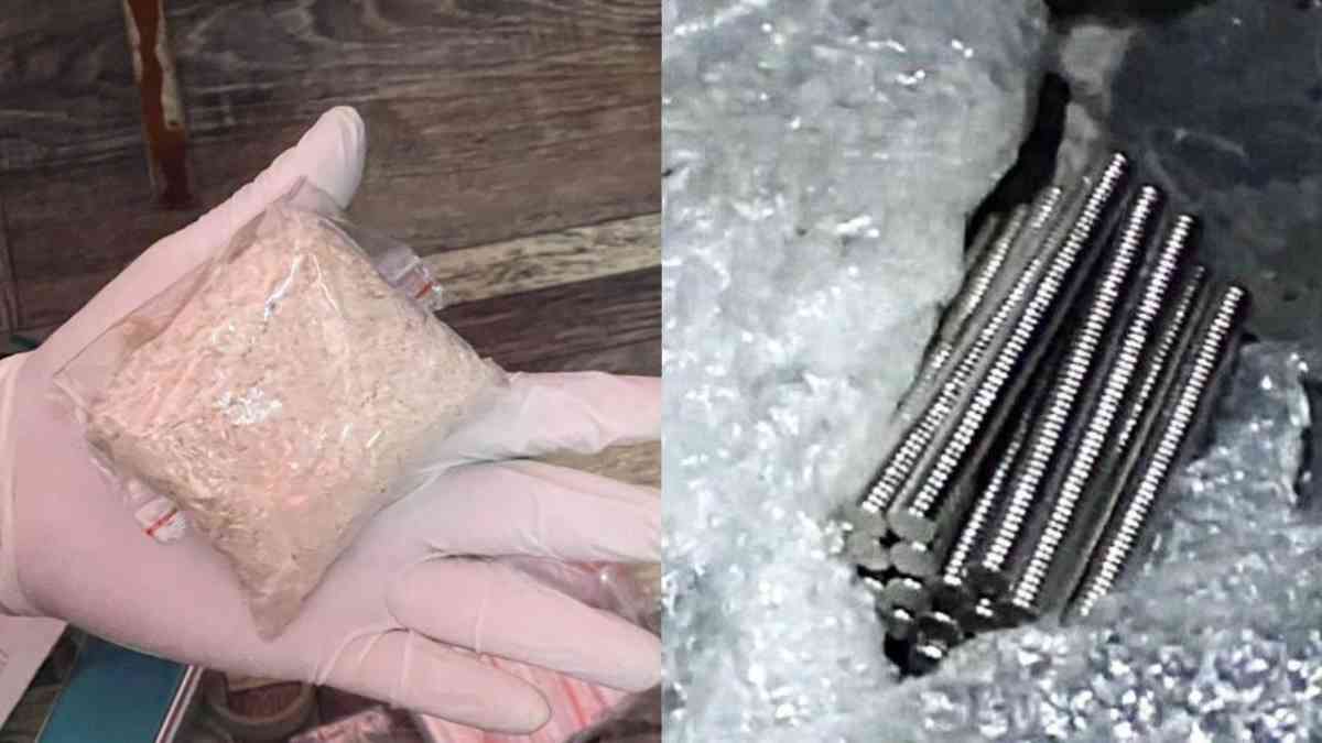 Магнит арқылы есірткі тасымалдаған күдікті Павлодарда ұсталды