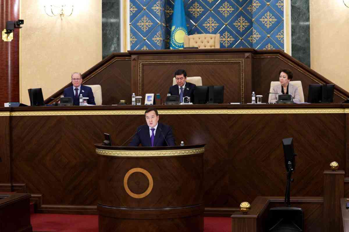 Мемлекеттік қолдау шараларының тиімділігіне жүргізілген аудит нәтижесі қандай