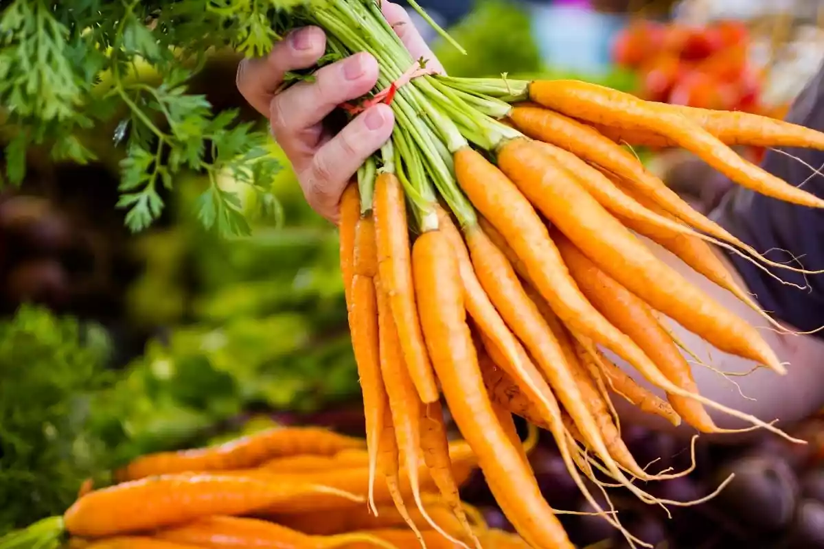 Қазақстанда сәбізді елден шығаруға уақытша тыйым салу жоспарланып отыр