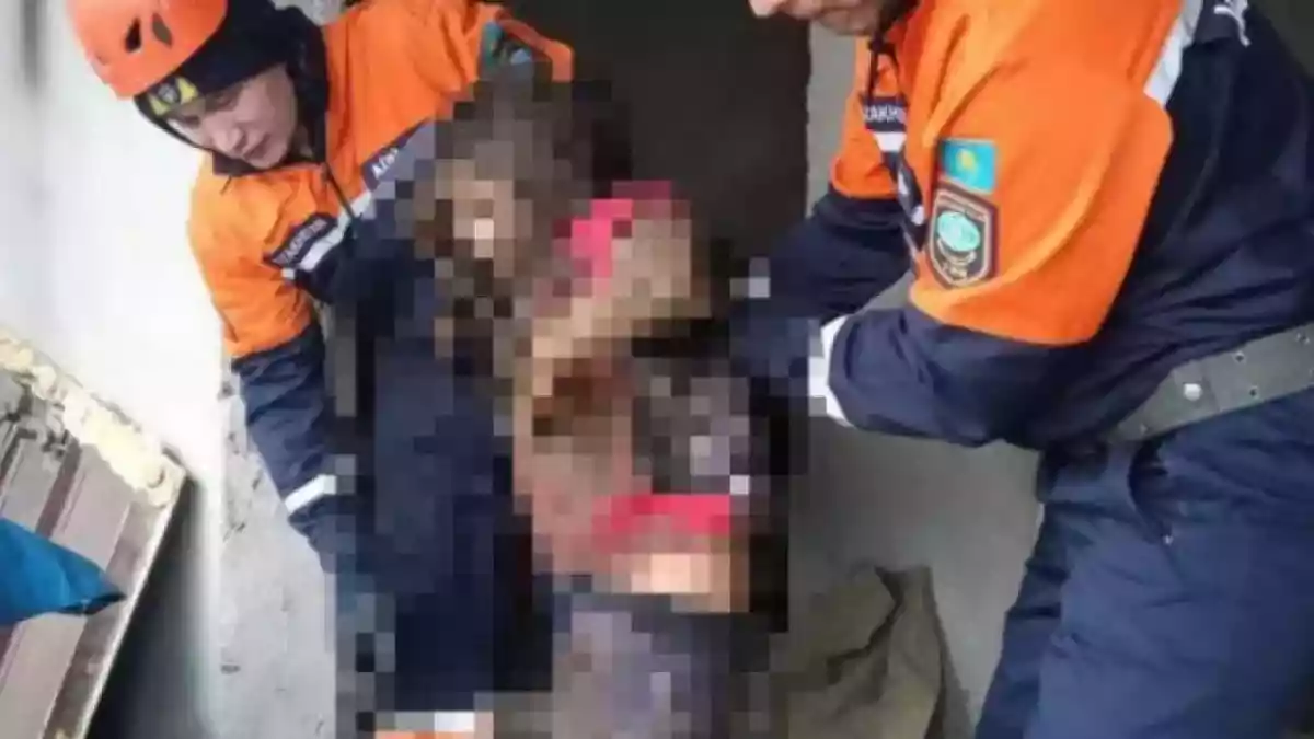 Байзақта 11 жастағы қыз әжетхананың шұңқырына құлап кеткен