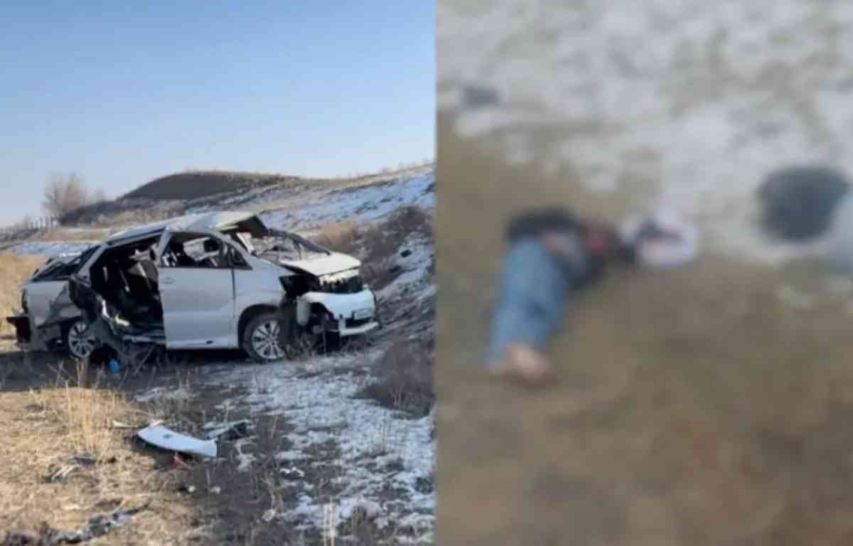 Алматы облысында жол апатынан үндістандық екі студент көз жұмды