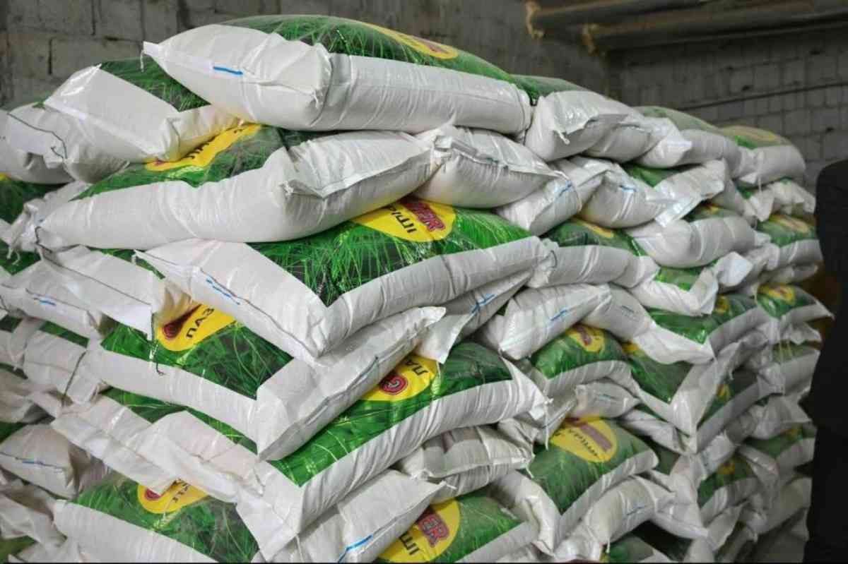 Түркістан облысында күріш өңдеу цехы іске қосылды