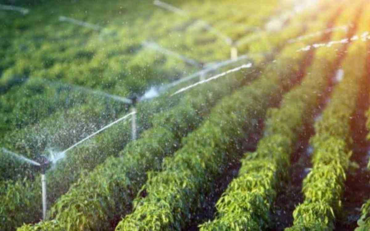 Диқандарға су жеткізуші монополияларға 17,8 млн теңге айыппұл салынды