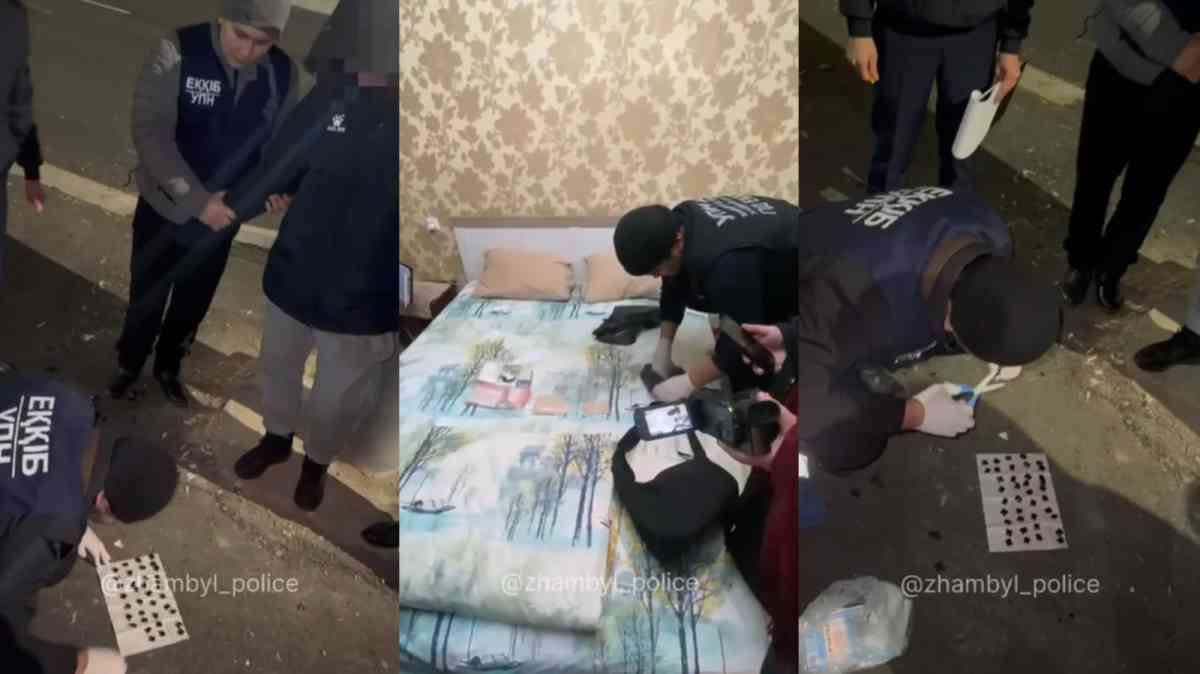 Жамбылда есірткі саудасымен айналысқан күдікті қолға түсті