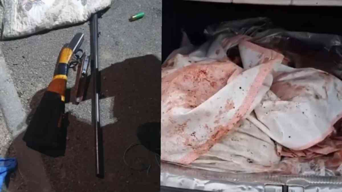 Жамбылда жайылымдағы жылқыны атып алып кеткен күдіктілер ұсталды