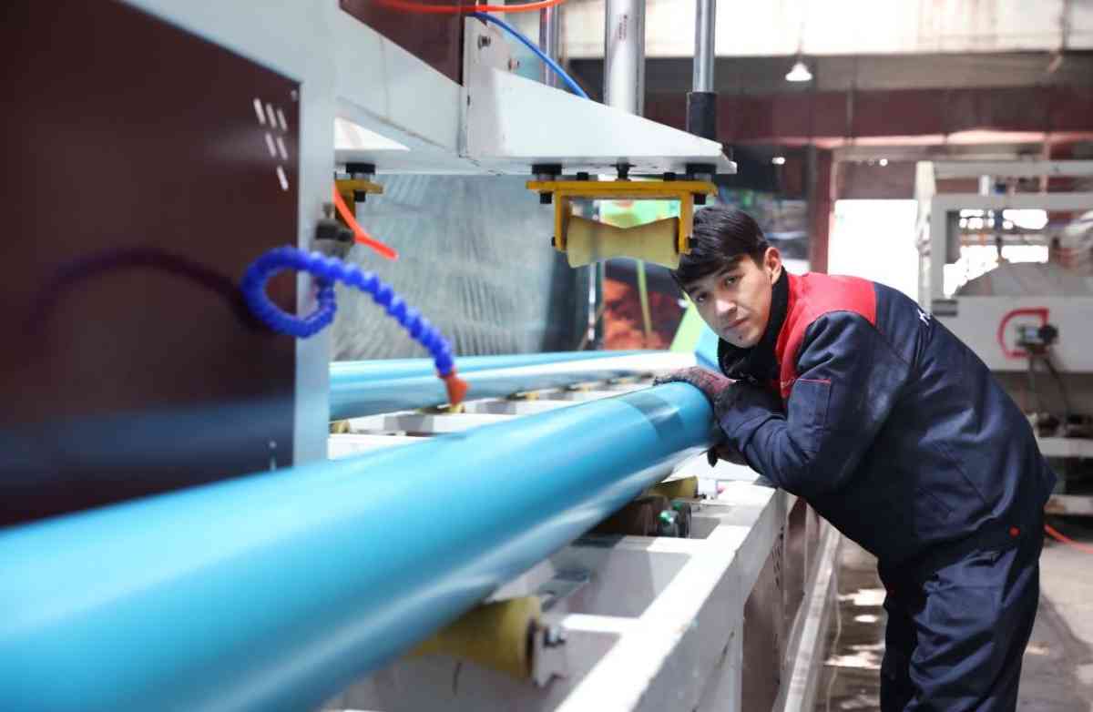 Президент тапсырмасы: Жамбылда биыл 42 мыңнан астам жұмыс орны ашылады