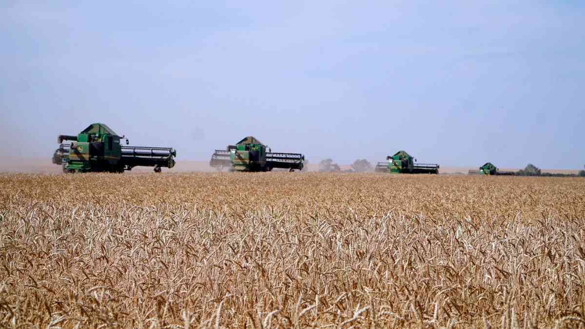 Президенттің тапсырмасы: Еліміз бойынша прогрессивті агроэкономикаға көшу басталды