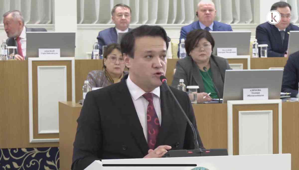 Жаңа Конституцияда еркіндік пен жауапкершілік бір арнаға тоғысады – белгілі журналист