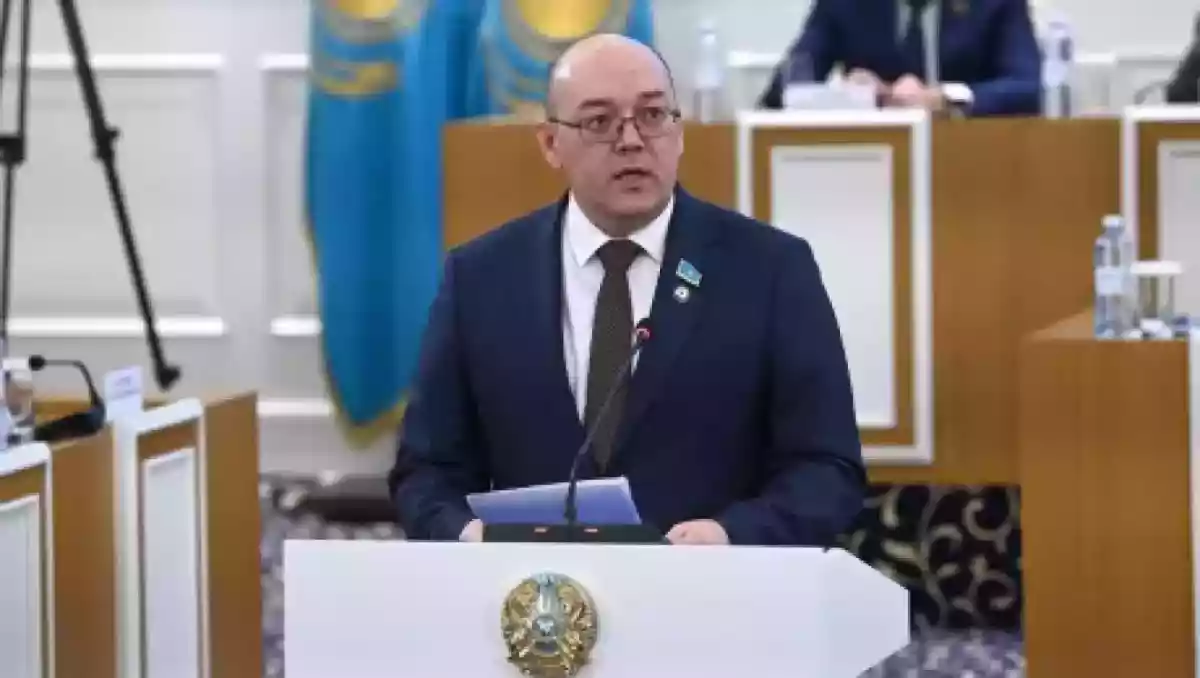 Жаңа Конституция азаматтардың елдің саяси өміріне қатысу мүмкіндігін кеңейтеді – ЖСДП төрағасы